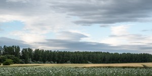 Beitragsbild des Blogbeitrags Mit dem Bummelzug von Hegykö nach Fertöujlak in Ungarn 