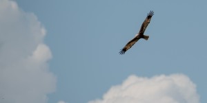 Beitragsbild des Blogbeitrags Unterwegs nach Podersdorf im Burgenland 