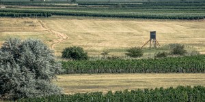 Beitragsbild des Blogbeitrags Von Podersdorf zur Langen Lacke – durch die „Hölle“! 