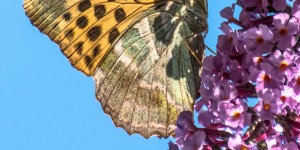 Beitragsbild des Blogbeitrags 12 magische Mottos – September