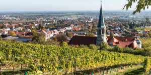 Beitragsbild des Blogbeitrags Goldener Herbst in Gumpoldskirchen 