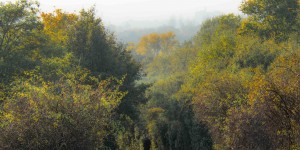 Beitragsbild des Blogbeitrags Wienerfeld im Hochnebel 