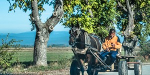 Beitragsbild des Blogbeitrags Bulgarien – Dorfleben am Fuße der Rhodopen 