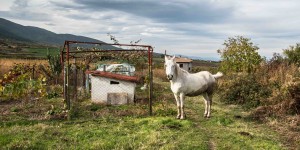 Beitragsbild des Blogbeitrags Bulgarische Landschaften…