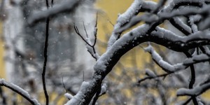 Beitragsbild des Blogbeitrags Jahresprojekt 365 Fotos – November 