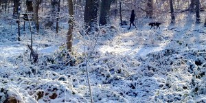 Beitragsbild des Blogbeitrags Ein bisschen Winter…