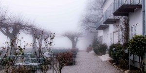 Beitragsbild des Blogbeitrags Winterwanderung zum Tulbinger Kogel