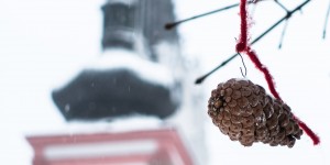 Beitragsbild des Blogbeitrags Mariazeller Wintertraum