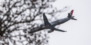 Beitragsbild des Blogbeitrags Kurzer Parkbesuch 