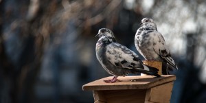 Beitragsbild des Blogbeitrags Vergesst die Liebe nicht…