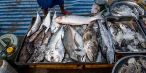 Beitragsbild des Blogbeitrags Kleiner Fischerhafen am Ende von Bangsaen 