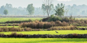 Beitragsbild des Blogbeitrags Moderner Tempel bei Buriram 