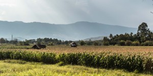 Beitragsbild des Blogbeitrags Provinz Phetchabun