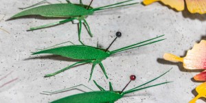 Beitragsbild des Blogbeitrags Nachtmarkt von Chiang Rai