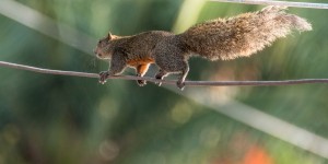Beitragsbild des Blogbeitrags Abschied von Bangsaen