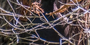 Beitragsbild des Blogbeitrags Wiener Zentralfriedhof – Tor 1. Jüdische Abteilung