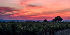 Beitragsbild des Blogbeitrags Burgenländische Impressionen