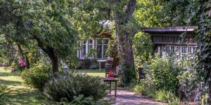 Beitragsbild des Blogbeitrags „Wildern“ im fremden Garten…