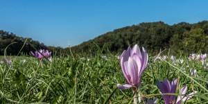 Beitragsbild des Blogbeitrags Wanderung vom Gießhübl auf den Höllenstein