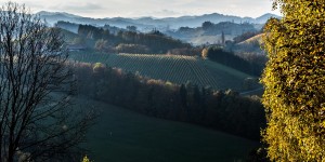 Beitragsbild des Blogbeitrags Südsteirischer Herbst – Teil 2