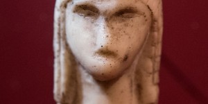 Beitragsbild des Blogbeitrags Naturhistorisches Museum Wien
