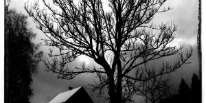 Beitragsbild des Blogbeitrags Neujahrspaziergang auf der Mooshuben bei Mariazell