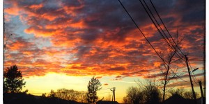 Beitragsbild des Blogbeitrags Stammersdorf in den letzten Sonnenstrahlen