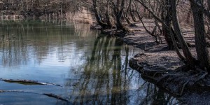 Beitragsbild des Blogbeitrags Das Erholungsgebiet Wienerberg
