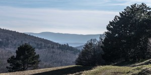 Beitragsbild des Blogbeitrags Wanderung auf den Höllenstein, mal mit dem Makro-Objektiv