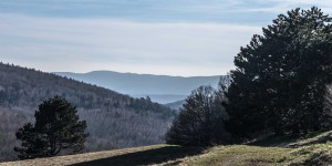 Beitragsbild des Blogbeitrags Wanderung auf den Höllenstein, mal mit dem Makro-Objektiv 