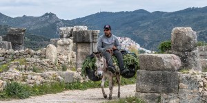 Beitragsbild des Blogbeitrags Moulay Idriss und Volubilis