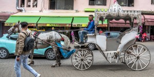Beitragsbild des Blogbeitrags Fahrt von Rabat nach Meknès