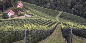 Beitragsbild des Blogbeitrags Südsteirische Impressionen 2