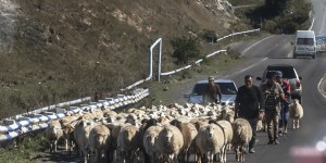 Beitragsbild des Blogbeitrags Zorakarer – das armenische „Stonehenge“