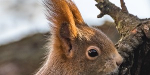 Beitragsbild des Blogbeitrags Heuberg am 20.12.2019