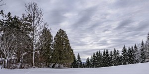 Beitragsbild des Blogbeitrags Winterwanderung von Puchenstuben nach Gösing 