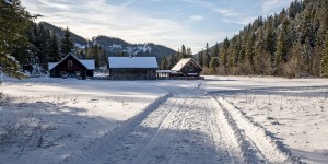 Beitragsbild des Blogbeitrags Hubertussee