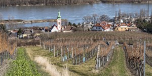 Beitragsbild des Blogbeitrags Leopoldsberg – die Wandersaison hat begonnen!