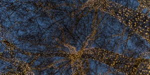Beitragsbild des Blogbeitrags Wiener Eistraum 2020
