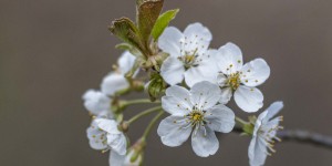Beitragsbild des Blogbeitrags Sigma Macro 150/2,8