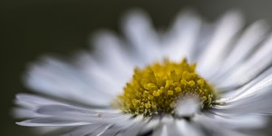 Beitragsbild des Blogbeitrags Ein Abend am Heuberg