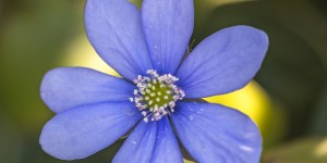 Beitragsbild des Blogbeitrags Letzter Gruß vom April