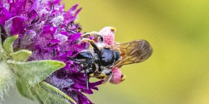 Beitragsbild des Blogbeitrags Die Kleinen – ganz groß