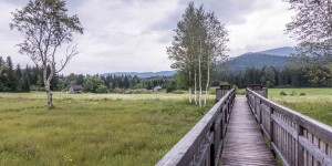 Beitragsbild des Blogbeitrags Ödensee und Kainisch-Moor im Steirischen Salzkammergut