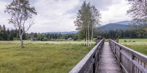 Beitragsbild des Blogbeitrags Ödensee und Kainisch-Moor im Steirischen Salzkammergut 