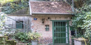 Beitragsbild des Blogbeitrags Bisamberg-Wanderung