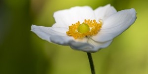 Beitragsbild des Blogbeitrags Was vom Sommer übrig blieb …