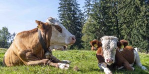 Beitragsbild des Blogbeitrags Ankunft in der Südsteiermark und erste Wanderung