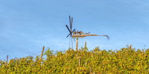 Beitragsbild des Blogbeitrags Südsteirische Impressionen …