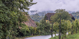 Beitragsbild des Blogbeitrags Abschied von der Südsteiermark